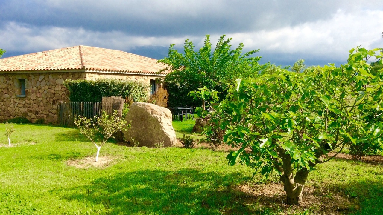 Photo of Outdoor in Figari