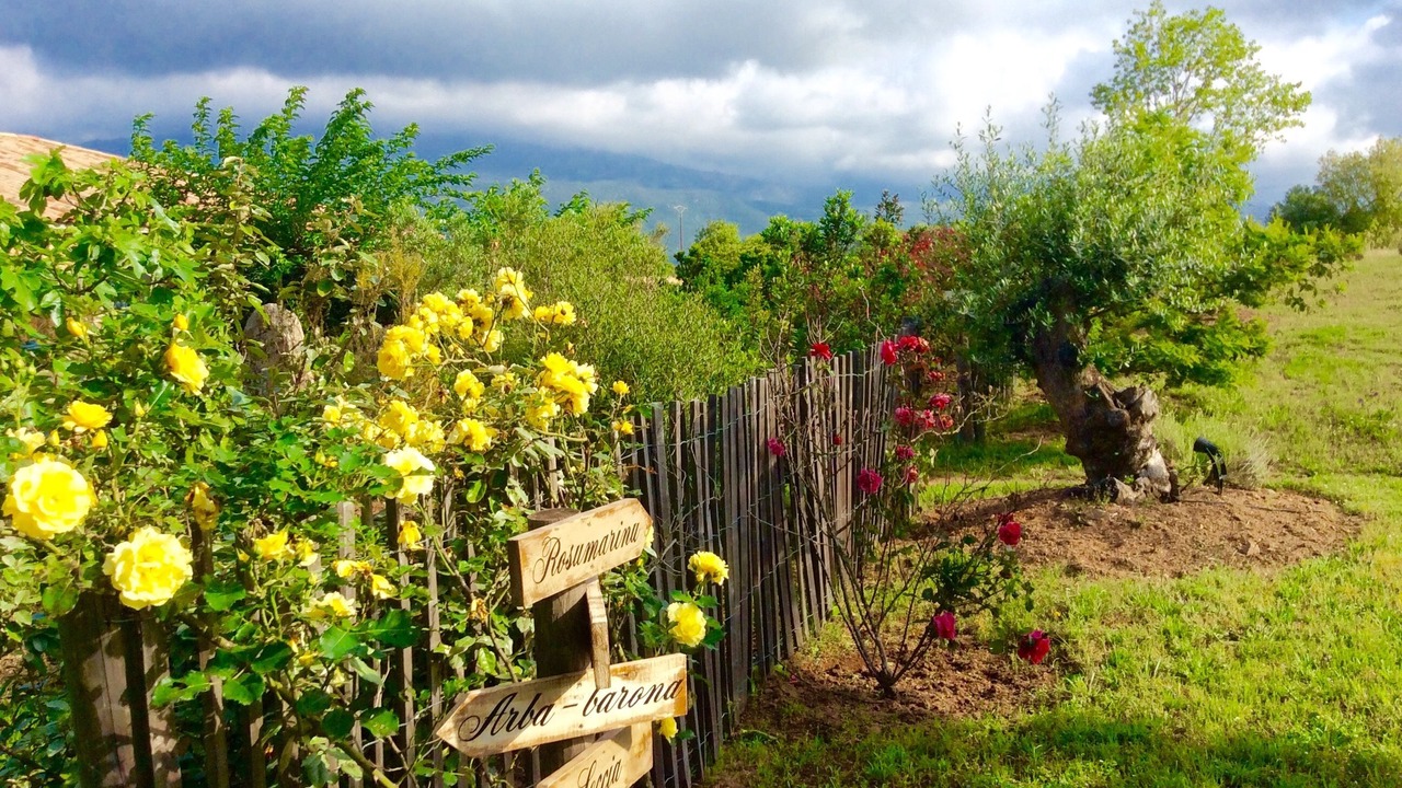 Photo of Outdoor in Figari
