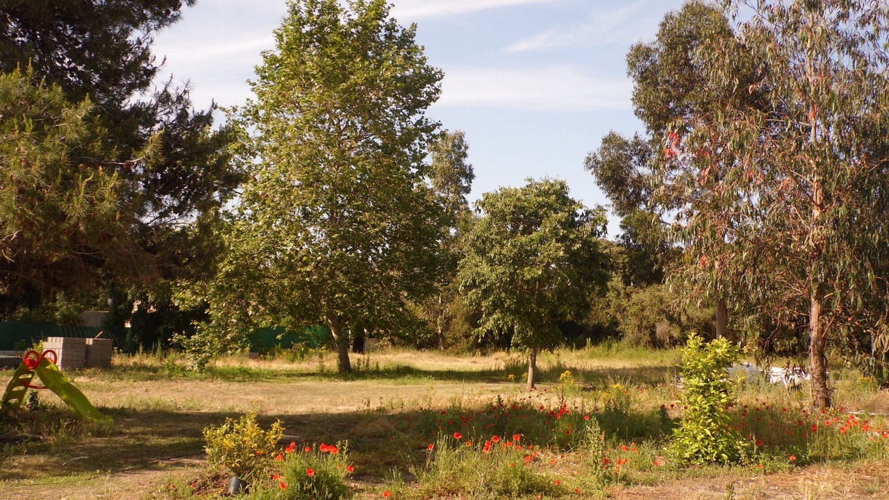Photo of Outdoor in Cargese