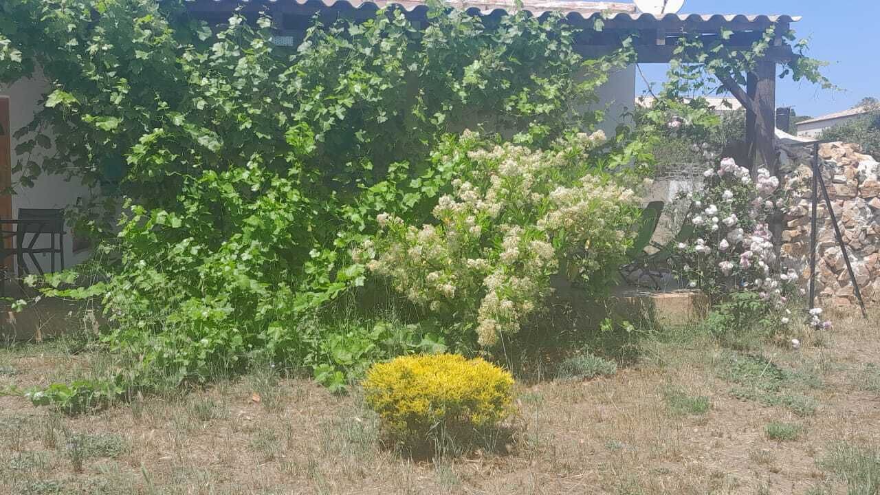 Photo of Outdoor in Cargese