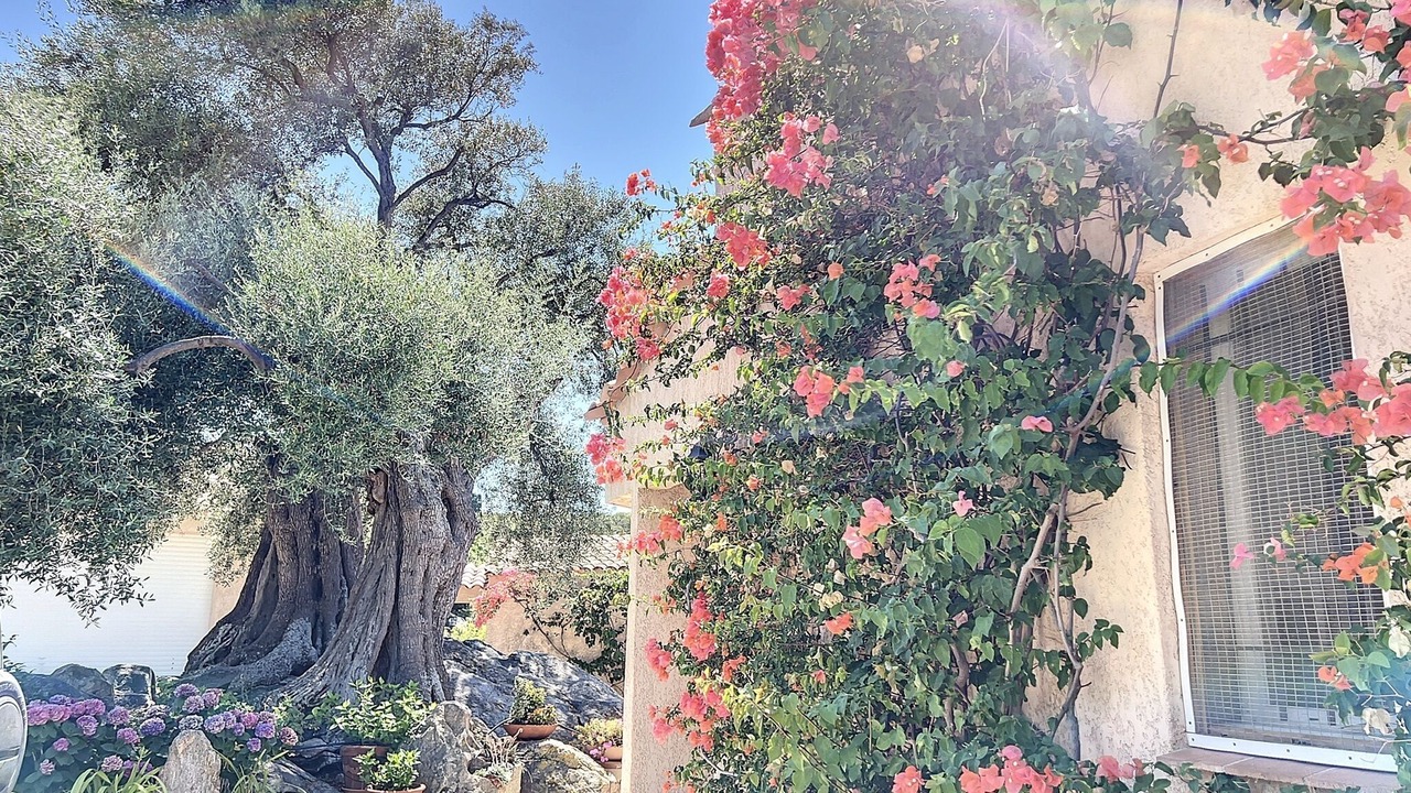 Photo of Outdoor in Marine de Davia