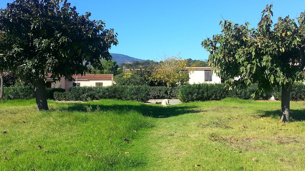 Photo of Outdoor in Poggio-Mezzana