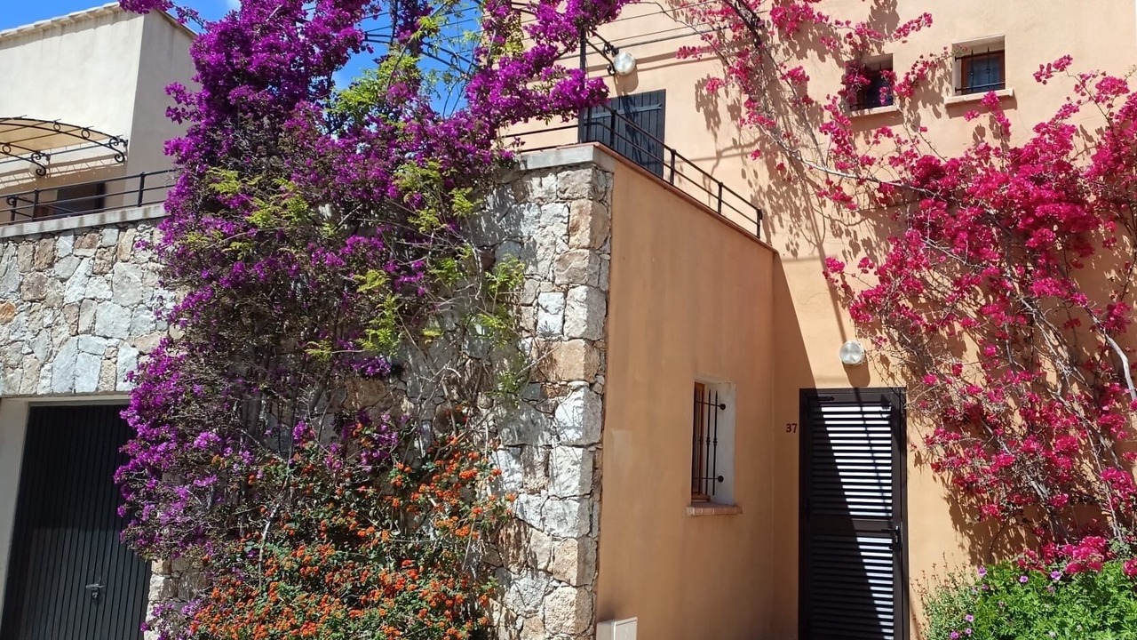 Photo of Outdoor in Lozari