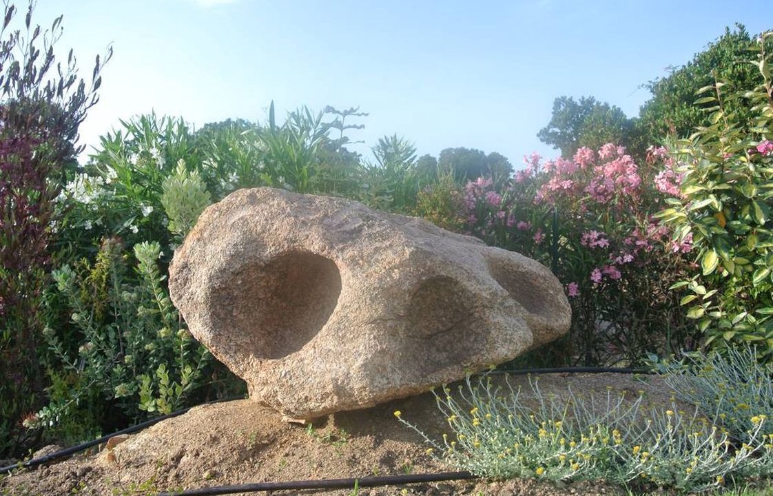 Photo of Outdoor in Albitreccia