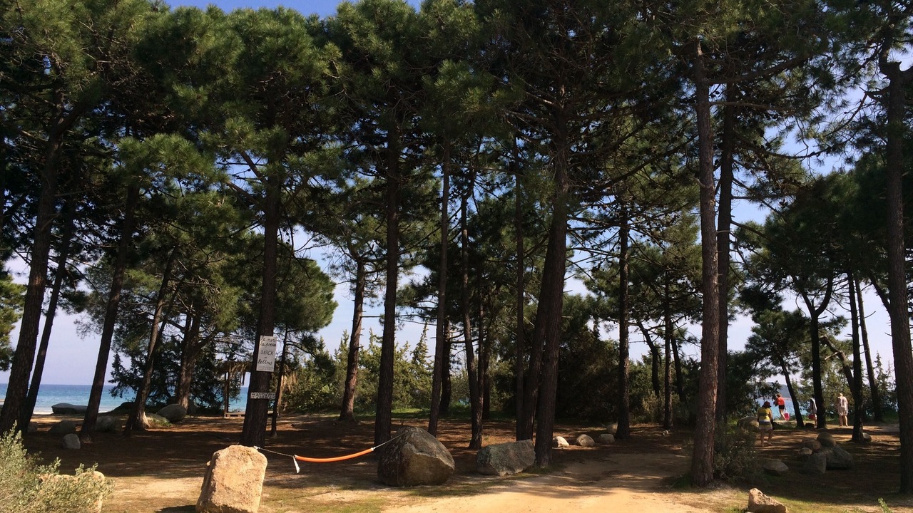 Photo of Outdoor in Pinarellu