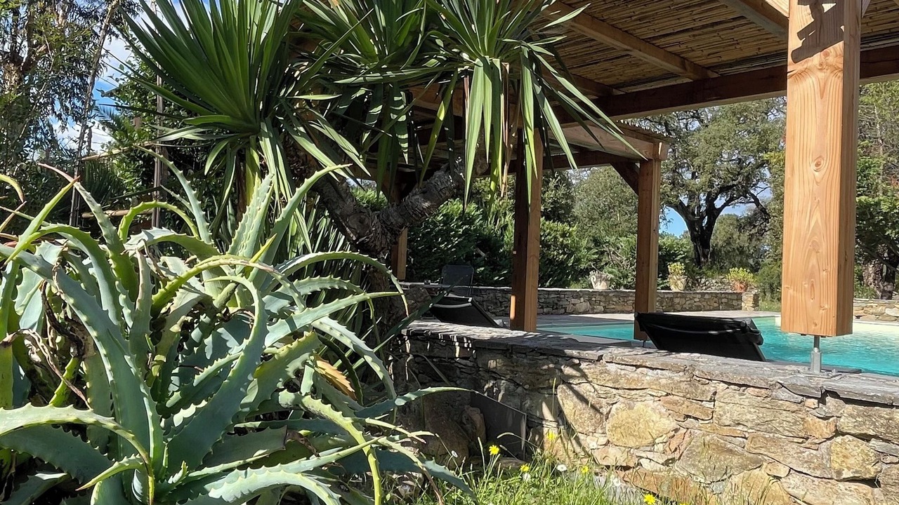 Photo of Outdoor in Oletta