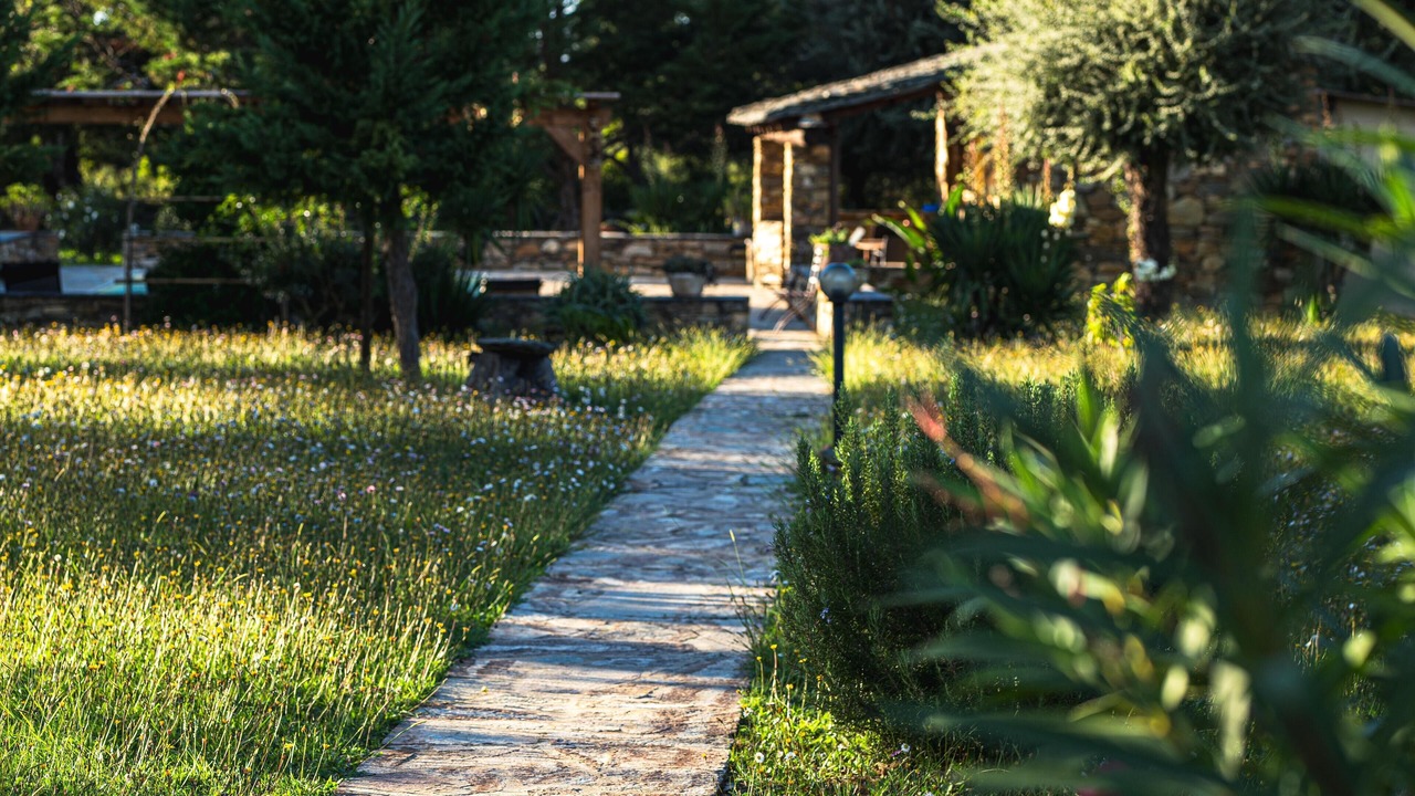 Photo of Outdoor in Oletta