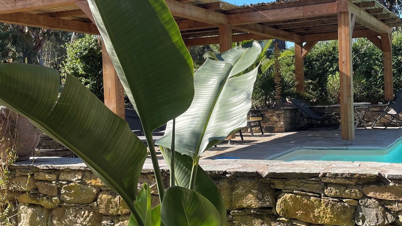 Photo of Outdoor in Oletta