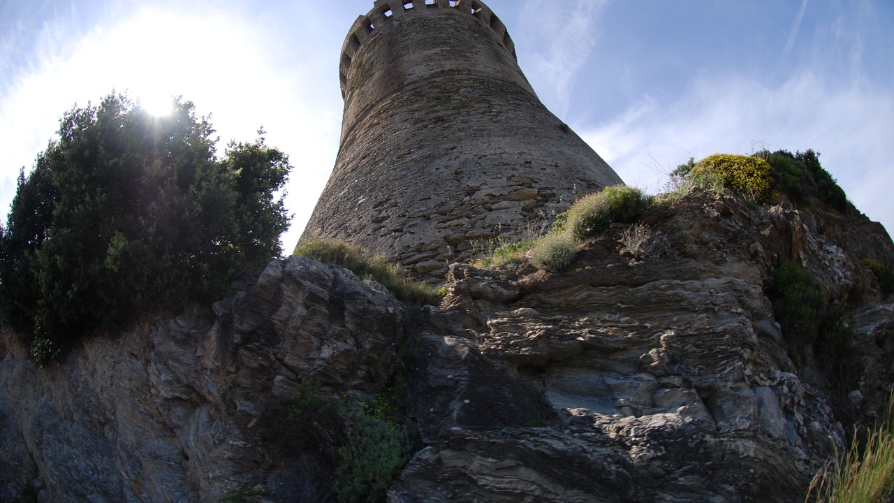 Photo of Others in Calvi