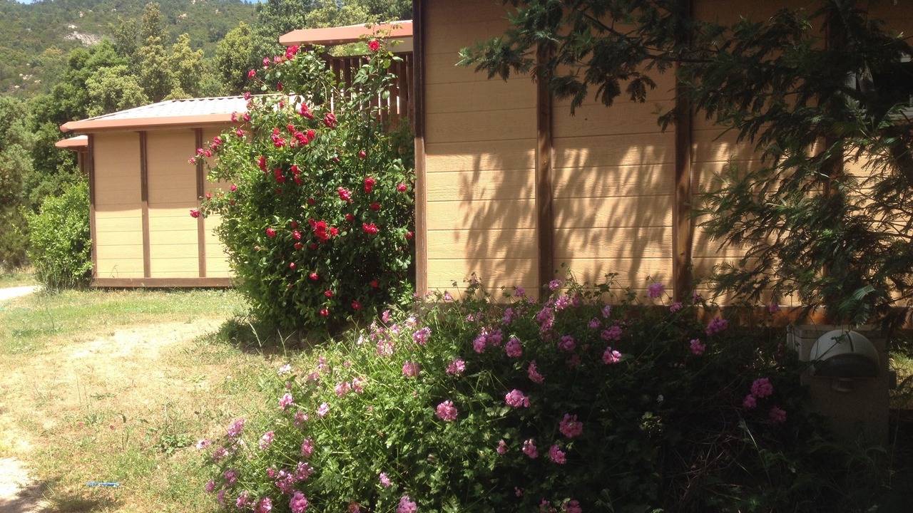 Photo of Outdoor in Conca