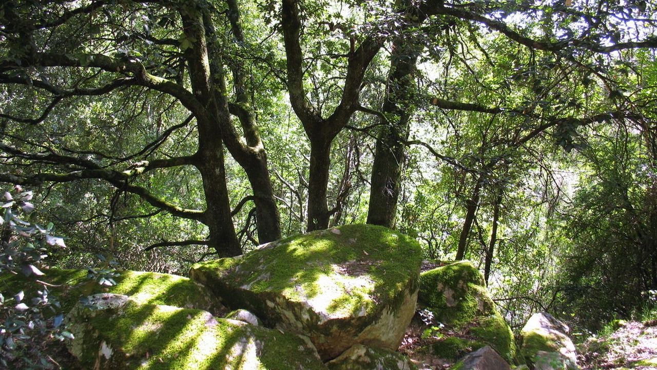 Photo of Outdoor in Peri