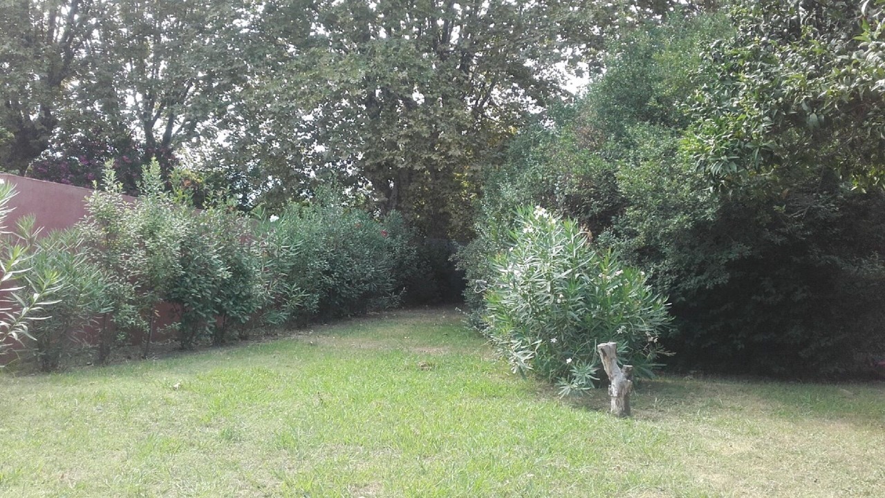 Photo of Outdoor in Santa-Lucia-di-Moriani