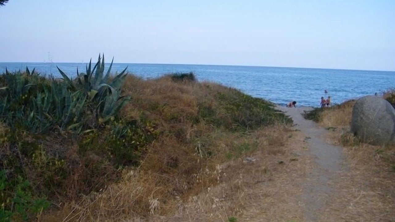 Photo of Others in Santa-Lucia-di-Moriani
