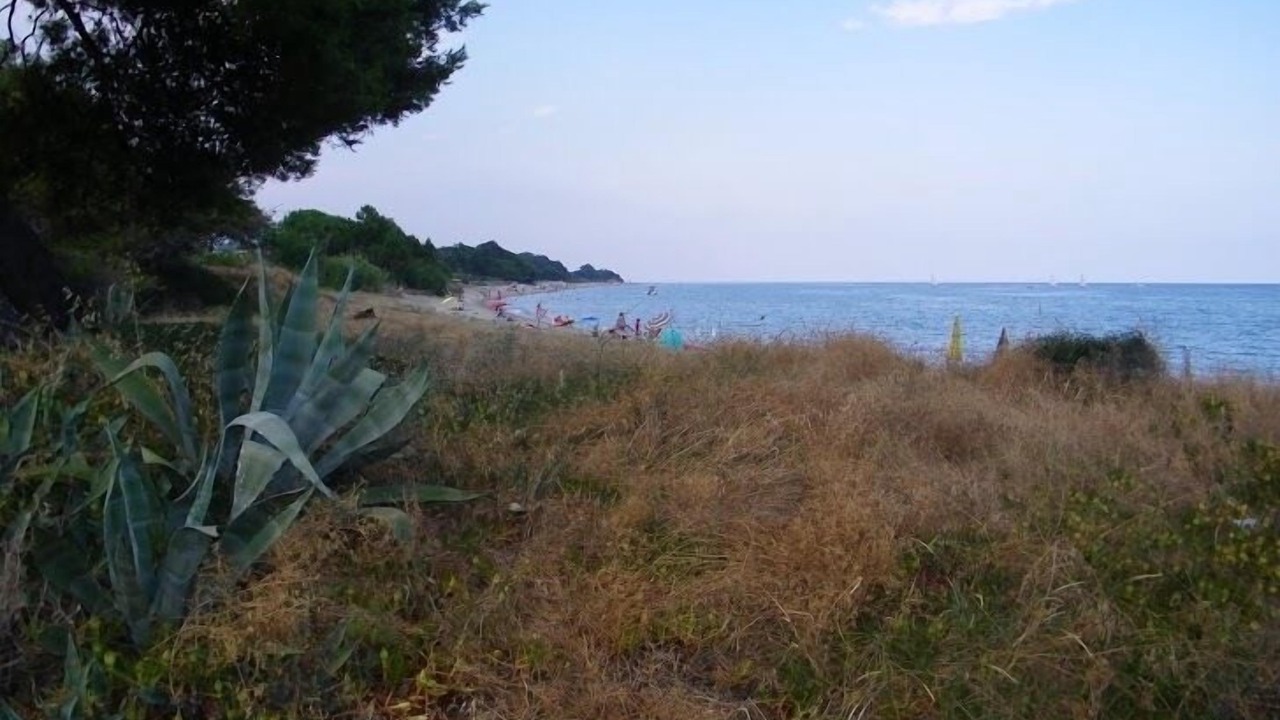 Photo of Others in Santa-Lucia-di-Moriani