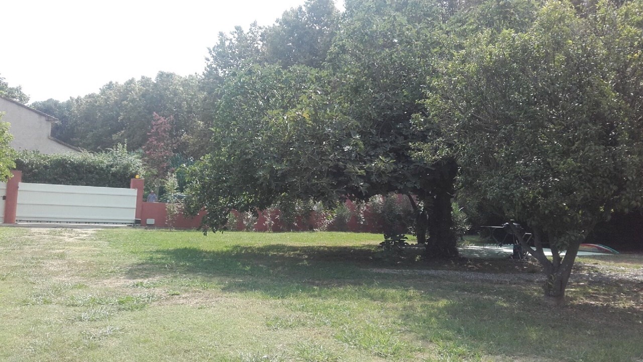 Photo of Outdoor in Santa-Lucia-di-Moriani