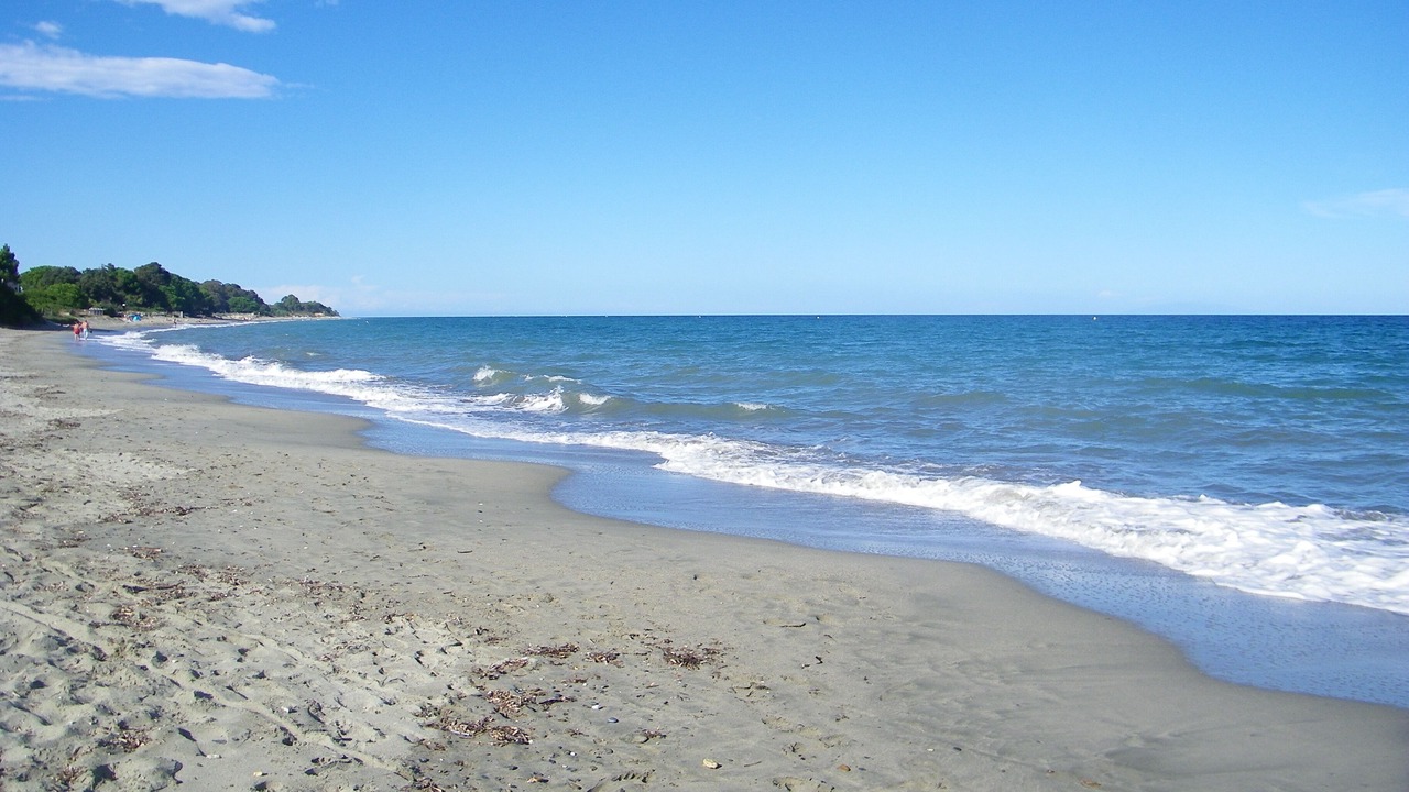 Photo of Others in Santa-Lucia-di-Moriani