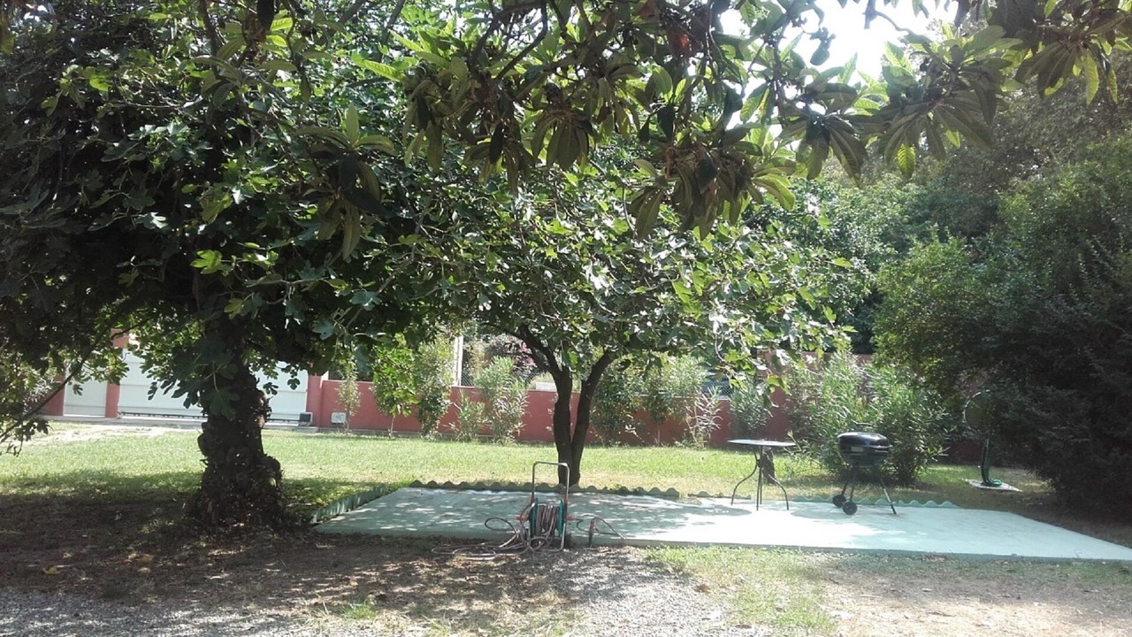 Photo of Outdoor in Santa-Lucia-di-Moriani
