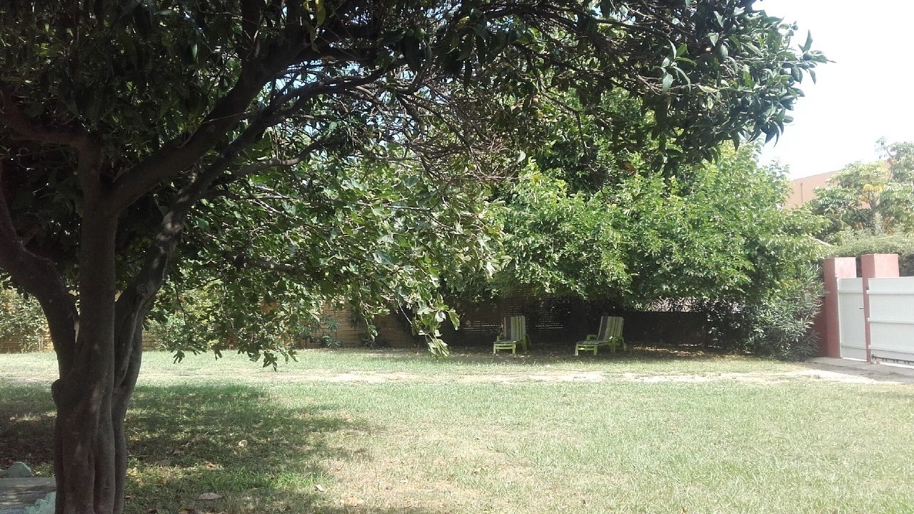 Photo of Outdoor in Santa-Lucia-di-Moriani