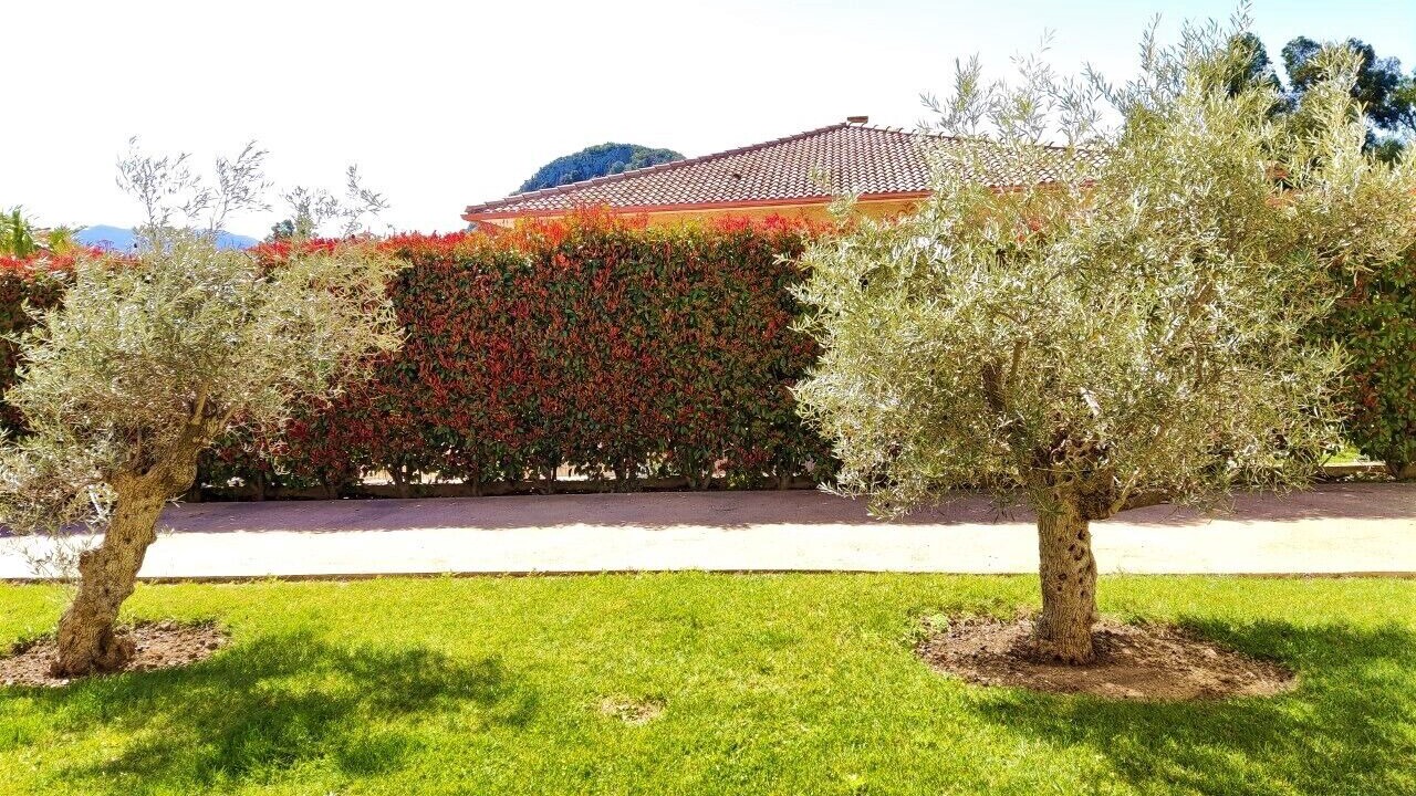 Photo of Outdoor in Oletta