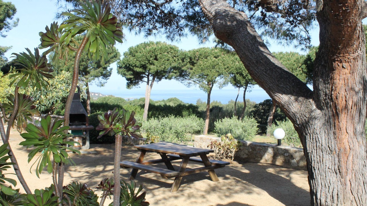Photo of Outdoor in Corbara