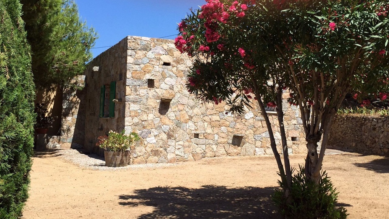 Photo of Outdoor in Corbara