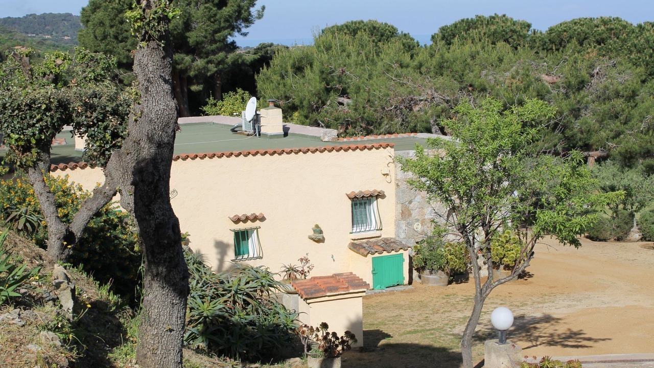 Photo of Outdoor in Corbara