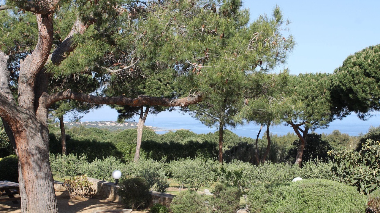 Photo of Outdoor in Corbara
