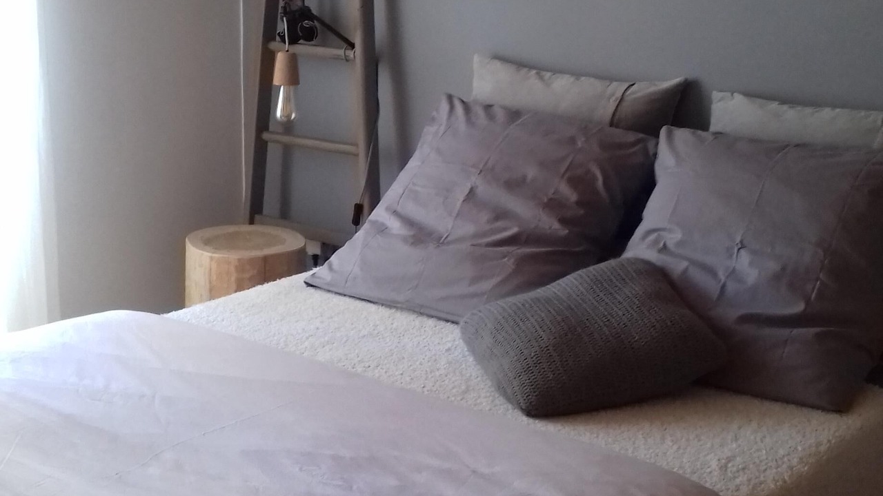 Photo of Bedroom in Evisa