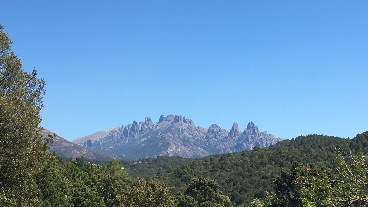 Photo of Outdoor in Olmiccia
