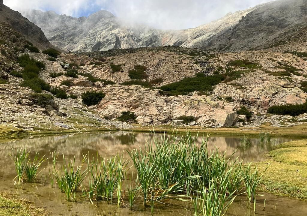 Photo of Outdoor in Calacuccia
