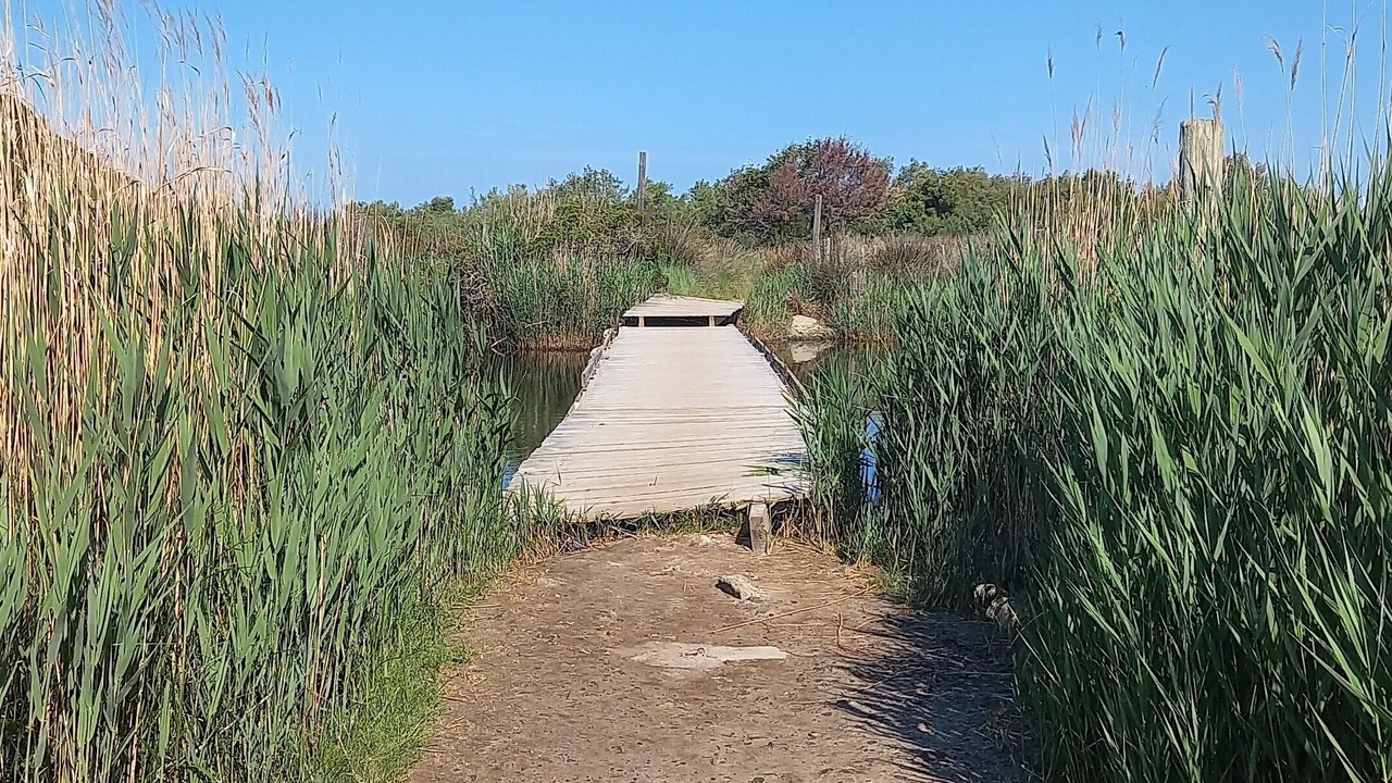 Photo of Outdoor in Urtaca
