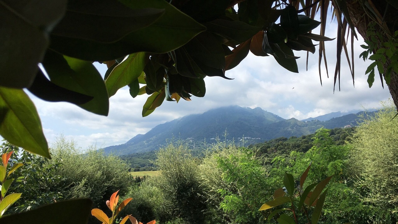 Photo of Outdoor in Santa-Lucia-di-Moriani