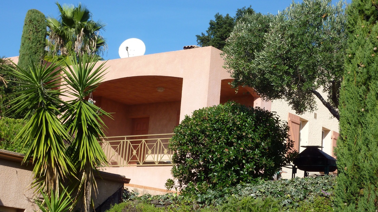 Photo of Outdoor in Santa-Lucia-di-Moriani