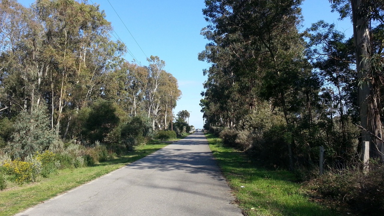 Photo of Outdoor in Venzolasca