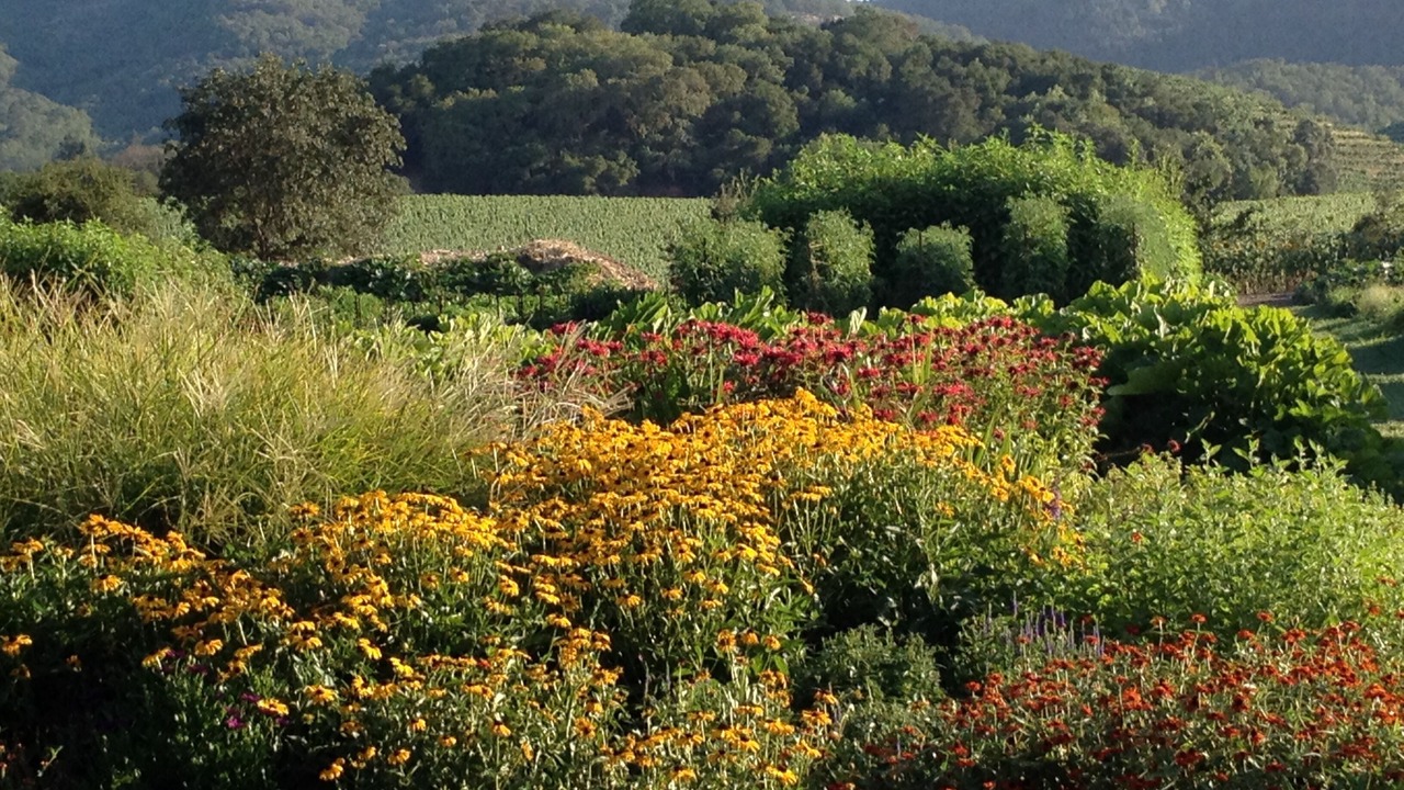 Photo of Others in Napa