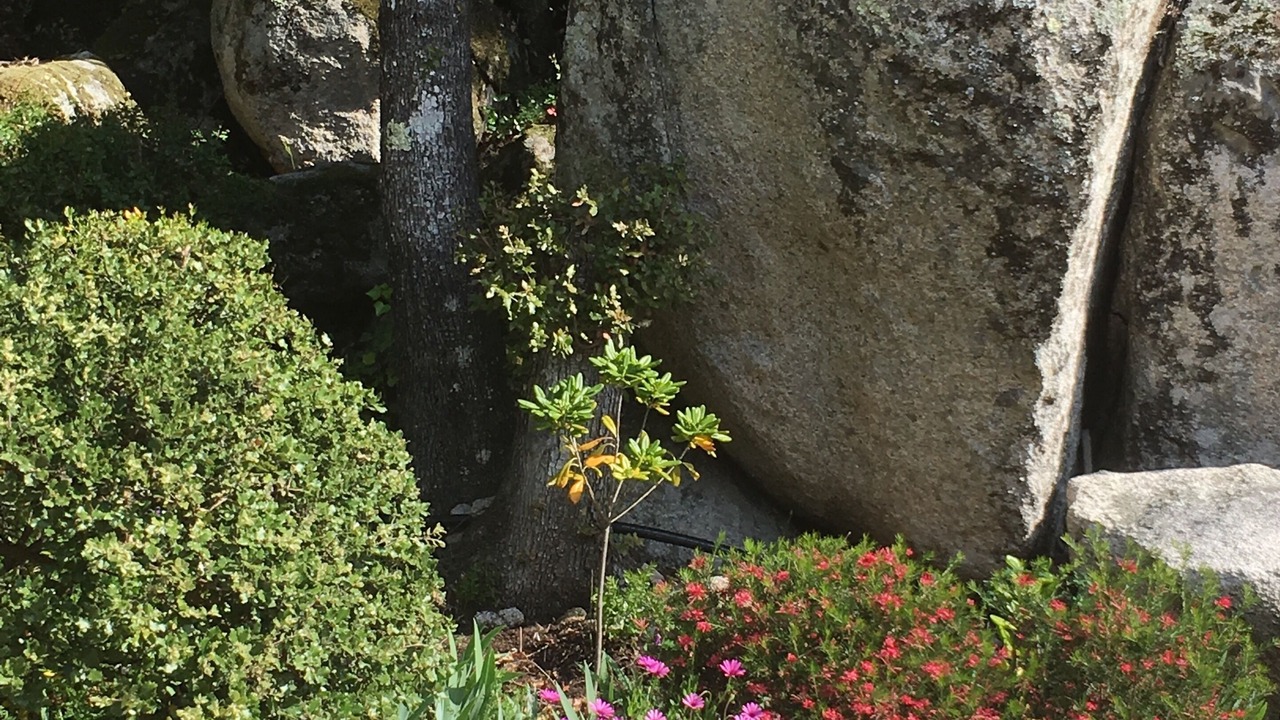 Photo of Outdoor in Arca