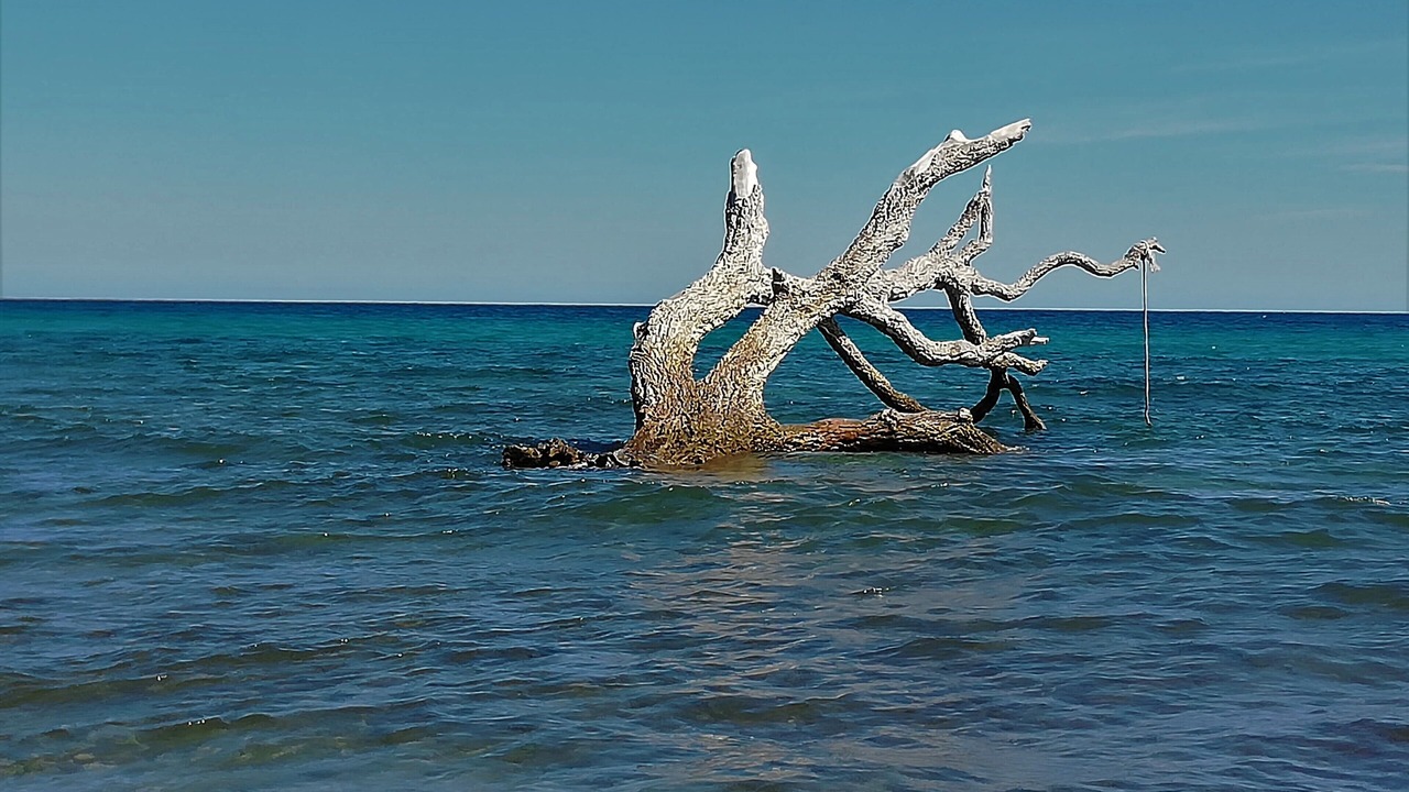 Photo of Others in Sorbo-Ocagnano