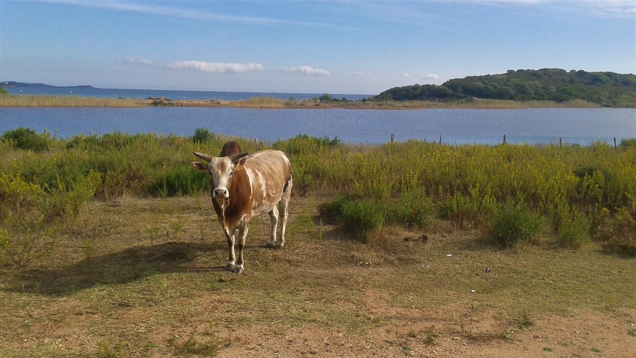 Photo of Outdoor in Sorbo-Ocagnano