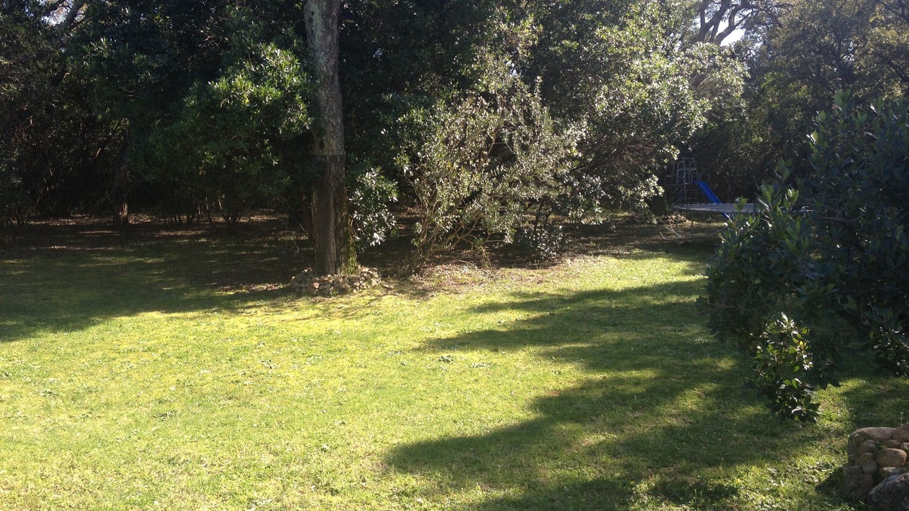 Photo of Outdoor in Pinarellu