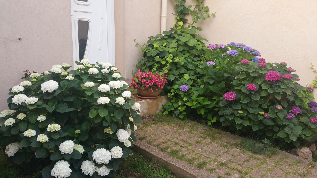 Photo of Outdoor in Porto-Vecchio