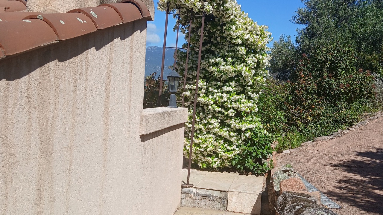 Photo of Outdoor in Porto-Vecchio