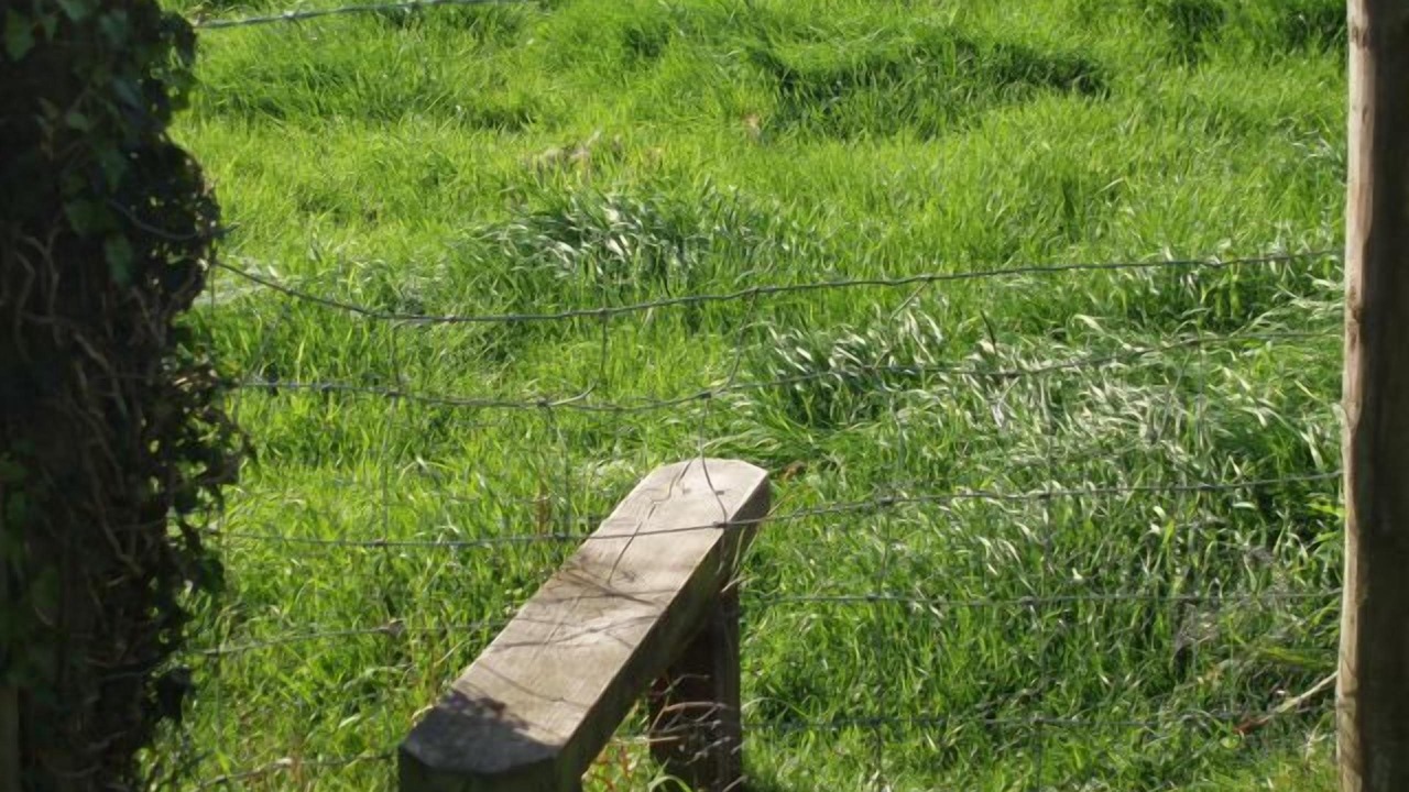 Photo of Outdoor in Broad Chalke