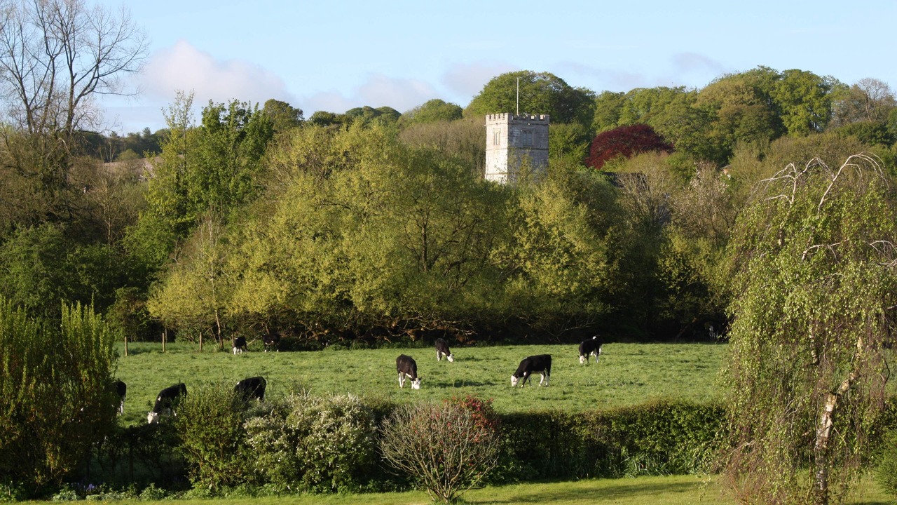 Photo of Others in Broad Chalke