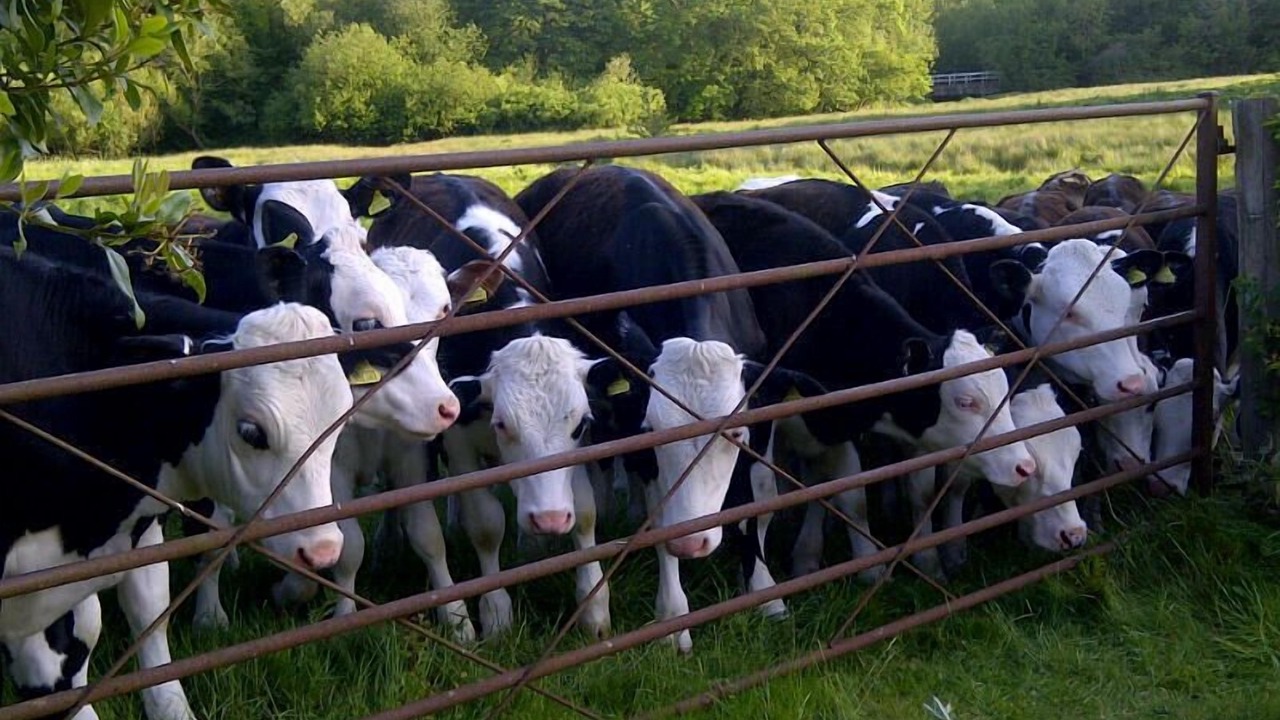 Photo of Others in Broad Chalke