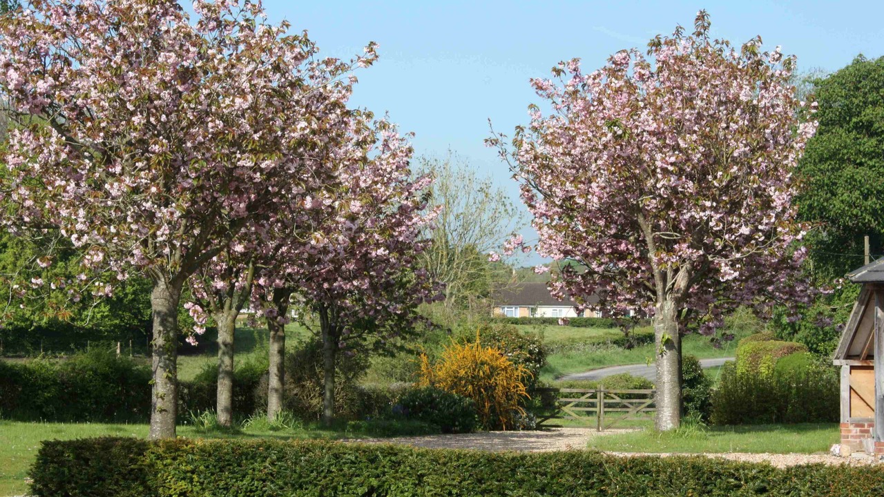 Photo of Others in Broad Chalke