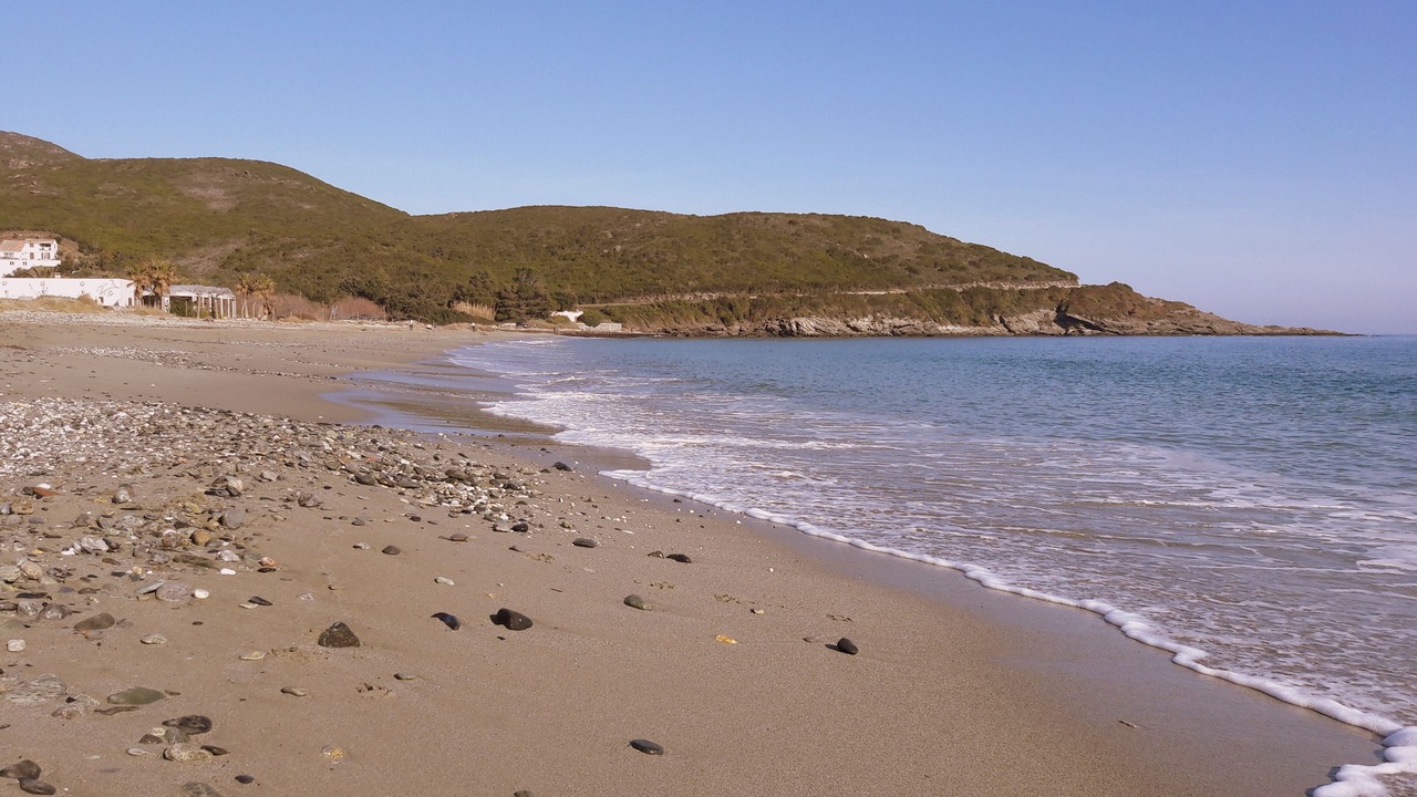 Photo of Others in Erbalunga