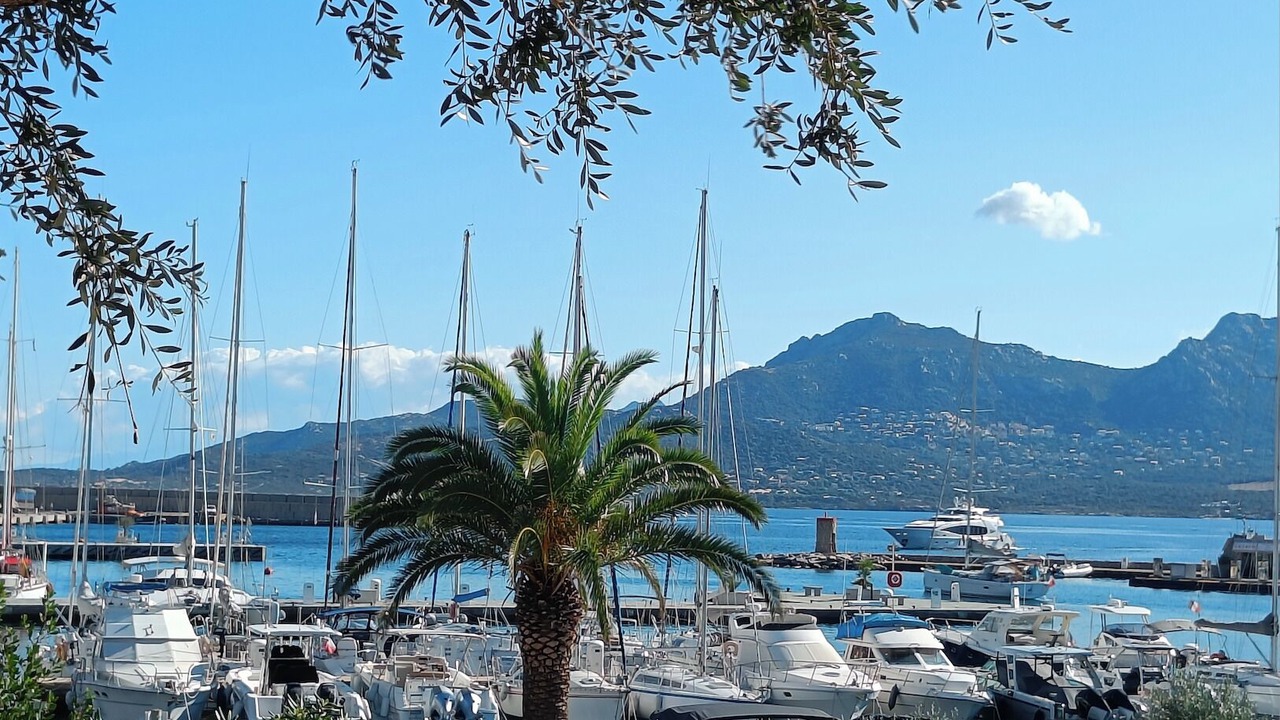 Photo of Others in Calvi
