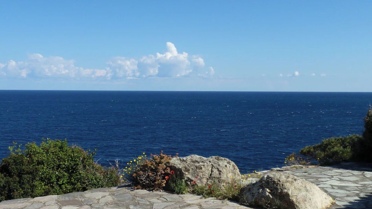 Photo of Others in Calvi