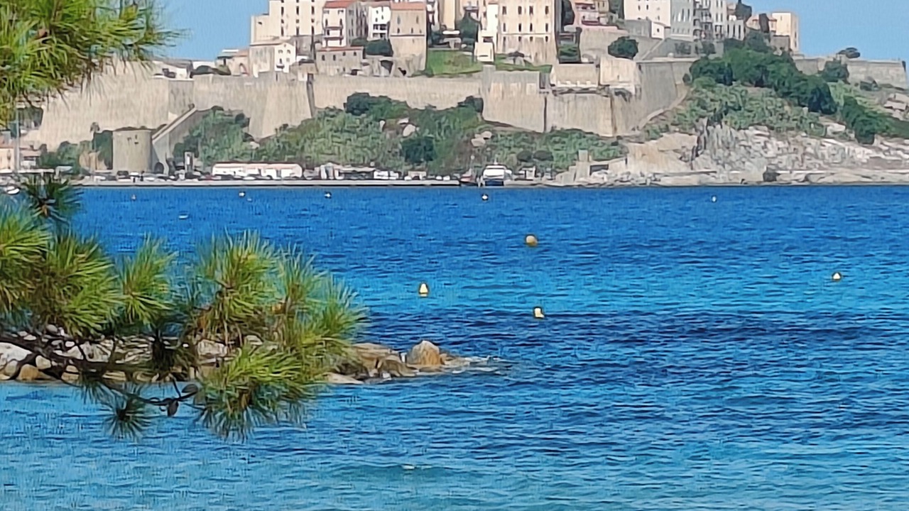 Photo of Others in Calvi