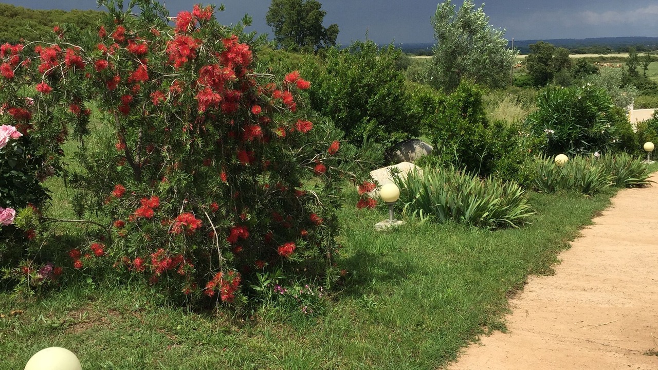 Photo of Outdoor in Ventiseri